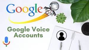 Voice Accounts